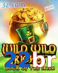 22br