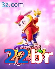 22br