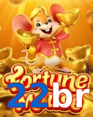 22br